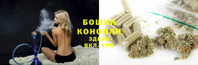 Канабис OG Kush  Ярославль 